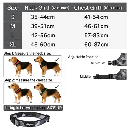 Petyone™ 3-in-1 Stainless Steel Pet Water Bottle + Free Harness Set